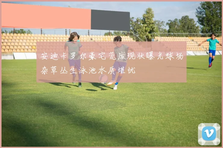 安迪卡罗尔豪宅荒废现状曝光球场杂草丛生泳池水质堪忧